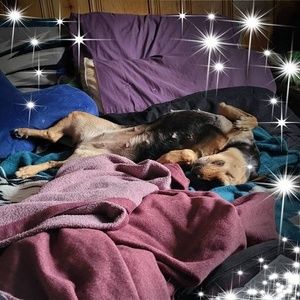 Meet your Posher, Heather